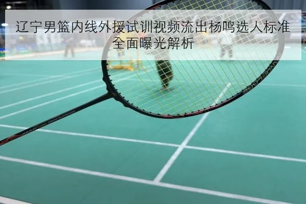 辽宁男篮内线外援试训视频流出杨鸣选人标准全面曝光解析